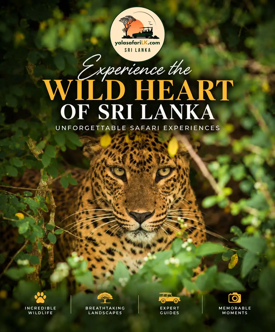 Yala safari jeep watching wildlife in Yala National Park, Sri Lanka