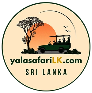 Yala Safari LK